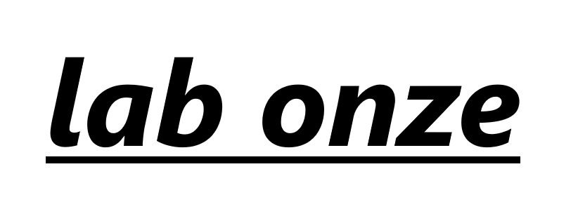 LAB ONZE